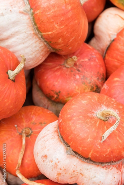 Fototapeta turban squash