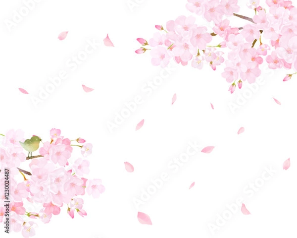 Obraz 美しく華やかな満開の桜の花と花びら舞い散るーかわいい鶯のいる風景ー春の桜アーチの白バックフレーム背景素材イラスト