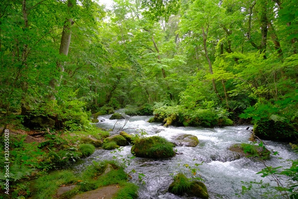 Obraz 大自然の中で流れる川