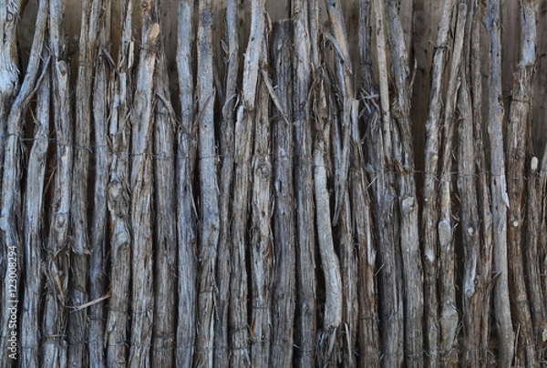 Fototapeta Cedar limb fence