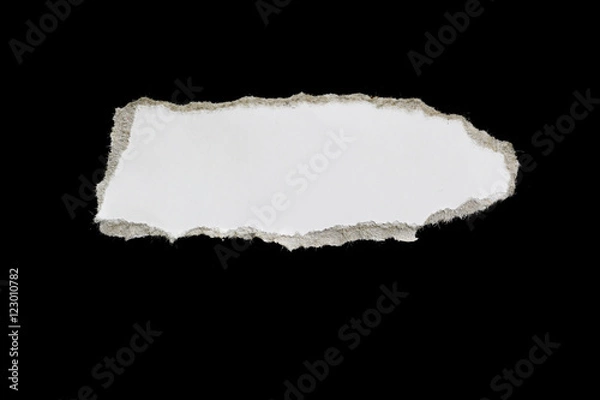 Fototapeta Ripped paper, space for advertising copy