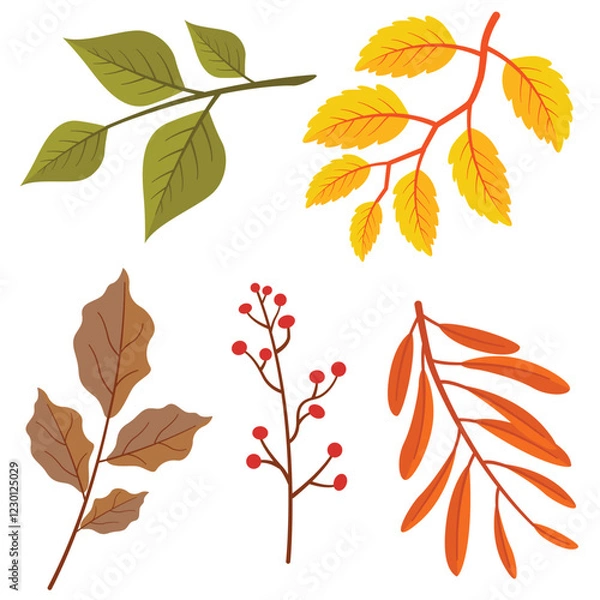 Fototapeta Collection of autumn leaves hand drawn style  isolated on white background. Flat autumn forest leaves.
