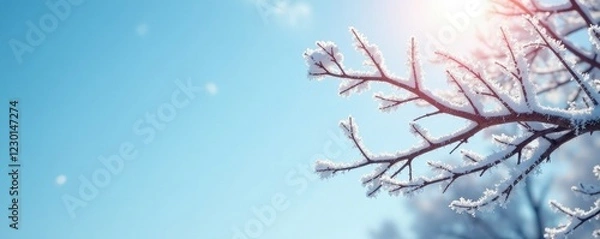 Fototapeta Frosty limbs outstretched against pale blue sky, frosty, frosty morning, branch