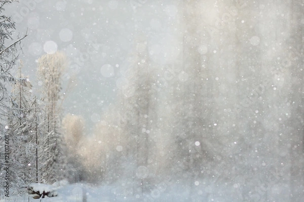 Obraz blurred winter background with snowflakes for text