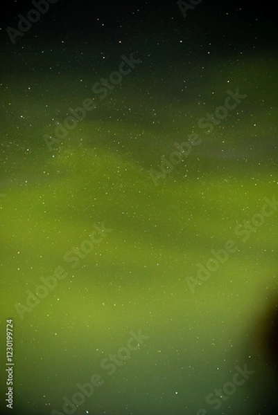 Fototapeta Himmel ist grün von Polarlichtern