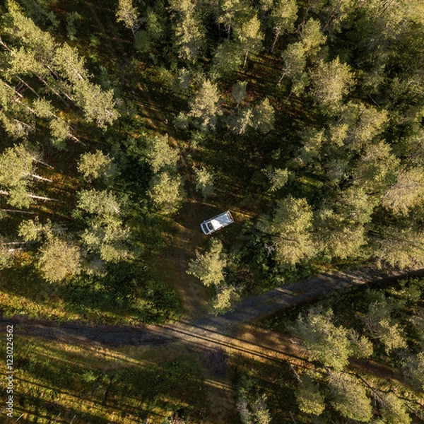 Fototapeta Camper im Wald von oben