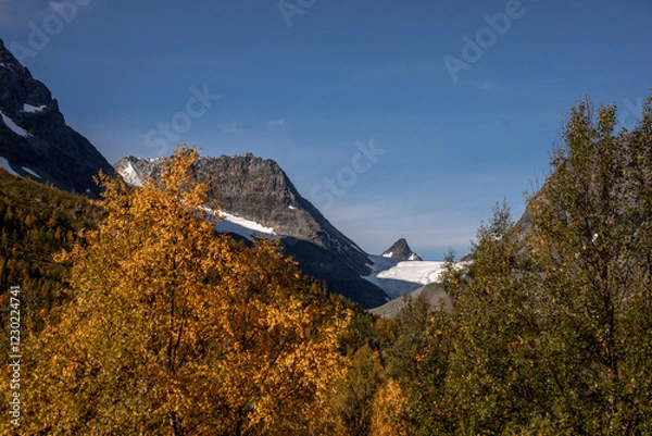 Fototapeta berg mit schnee und eis hinter bäumen
