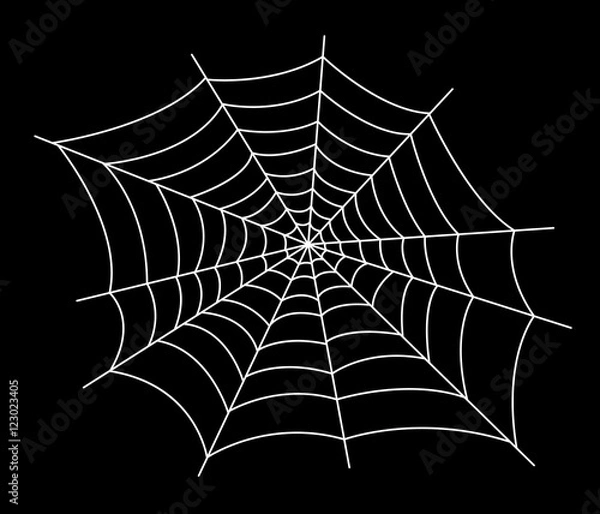 Fototapeta spider web vector illustration