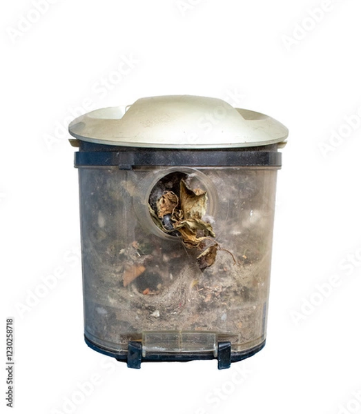 Fototapeta Compartment full of dirt, debris, dust, hair and fur. Vacuum cleaner filter. Container full of dirt. Household chores. Isolated on a transparent background.