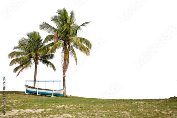 Fototapeta Two coconut trees, small fishing boat, blue and white, on green grass isolated on transparent background.