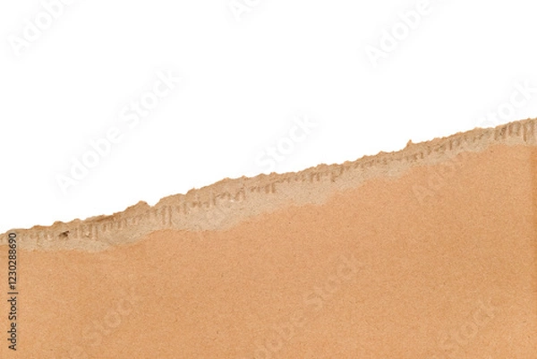 Obraz Torn cardboard Paper with space for text. Torn cardboard isolated on transparent background. Banner with copy space. High quality photo