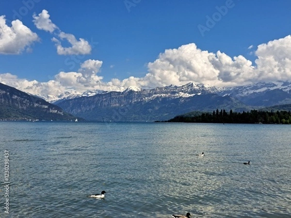 Obraz A lake in the Swiss Alps. The Blue Lake in Switzerland. Snow-capped mountains near the lake. Spring.
