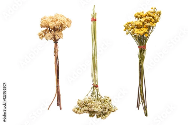 Fototapeta three bouquets of dried flowers on a white background
