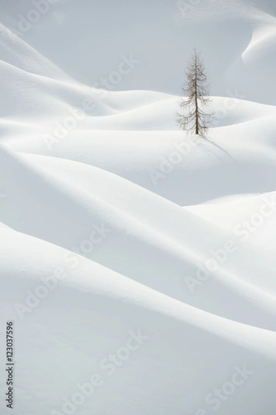 Obraz Snow, winter mountain landscape, tree alone
