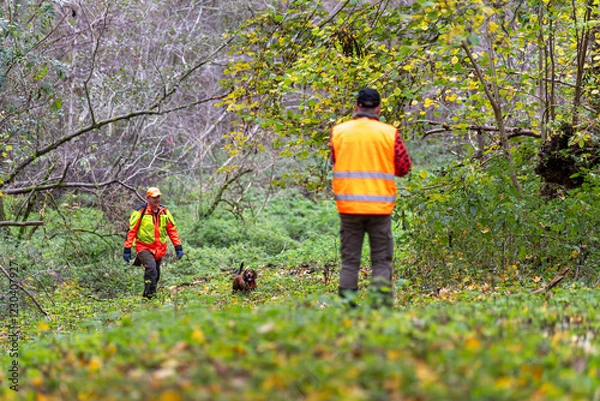 Fototapeta Schwarzwidjagd