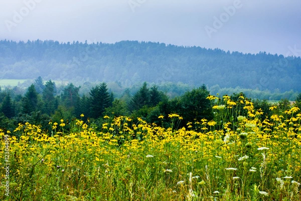 Fototapeta Góry w kwiatach