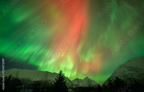 Obraz Auroras over Alaska