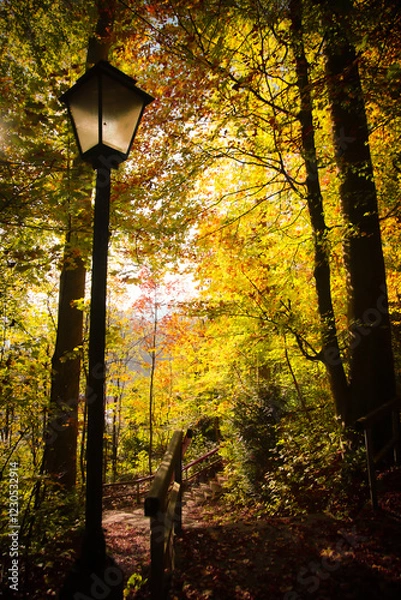 Fototapeta Herbstwald