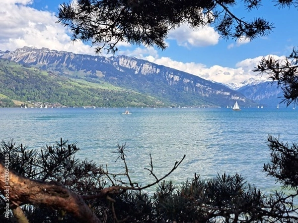 Obraz A lake in the Swiss Alps. The Blue Lake in Switzerland. Snow-capped mountains near the lake. Spring.
