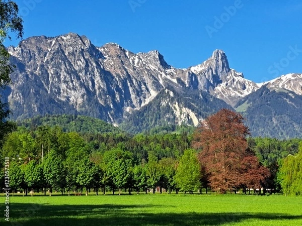 Obraz Swiss green mountains, spring. Snowy mountains in spring. Green hills. The Swiss mountains.