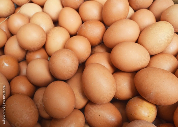 Fototapeta pile lots of chicken eggs for cooking ingredients