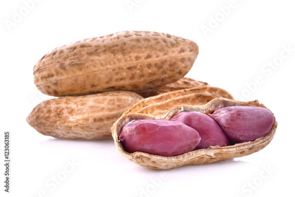 Obraz Boiled Peanuts