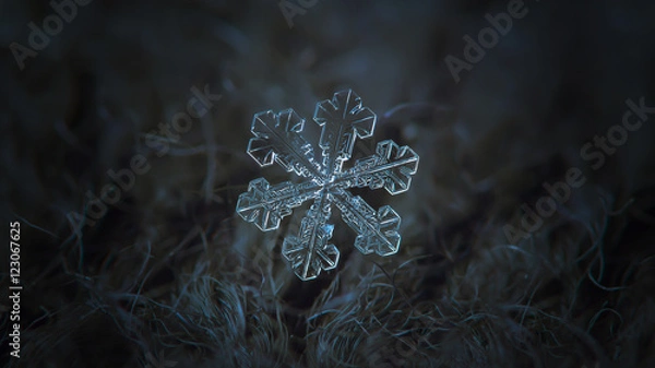 Fototapeta Snowflake on dark textured background, panoramic version: macro photo of real snow crystal on black woolen fabric in natural light. This is big snowflake with simple shape and broad symmetrical arms.