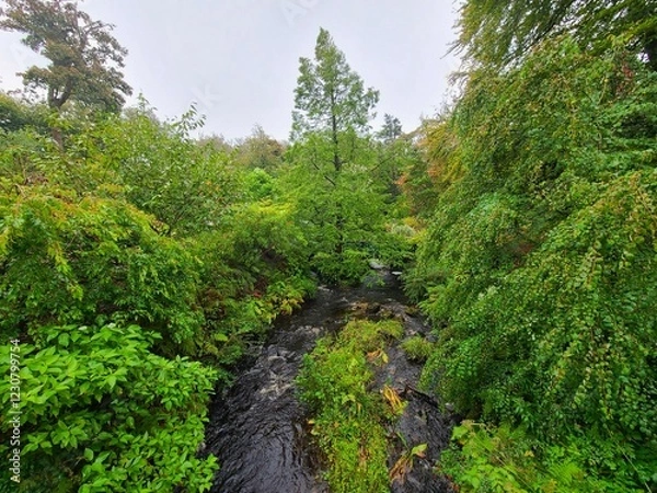 Obraz Dunvegan Castle & Gardens
