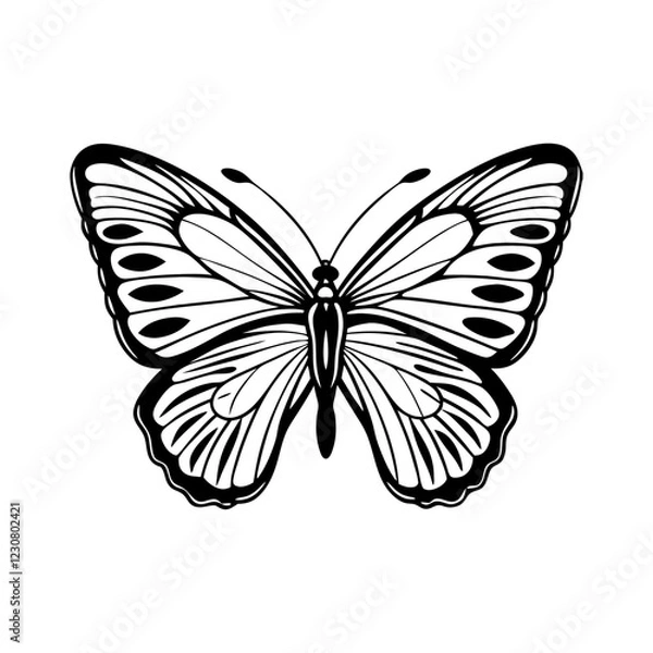 Fototapeta Beautiful butterfly vector illustration with wings flying in nature on a white background, black and white PNG 