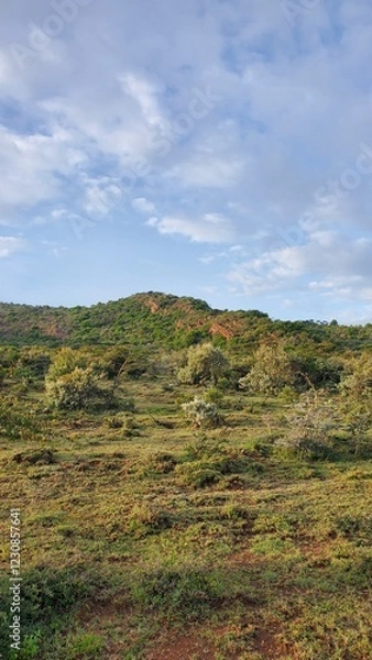 Obraz landscape with sky