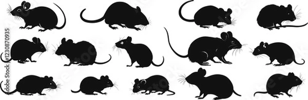 Fototapeta Minimalist Mouse and Rat Silhouettes with Modern Designs