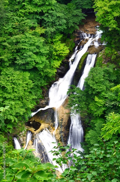 Obraz 緑の中の霧降の滝