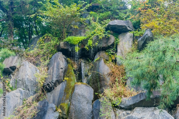 Fototapeta Water cascading over rocks in a serene natural setting with greenery.