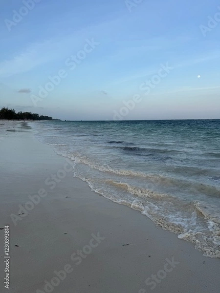 Obraz beach at sunset