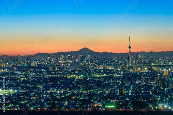 Obraz 東京スカイツリーと富士山