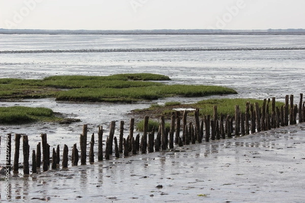 Fototapeta Wattenmeer