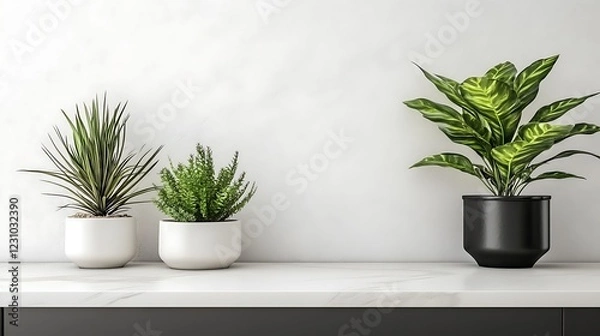 Fototapeta Three potted plants on a marble countertop
