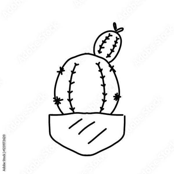 Obraz hand holding a key