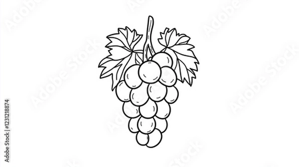 Fototapeta isolated grape in black and white