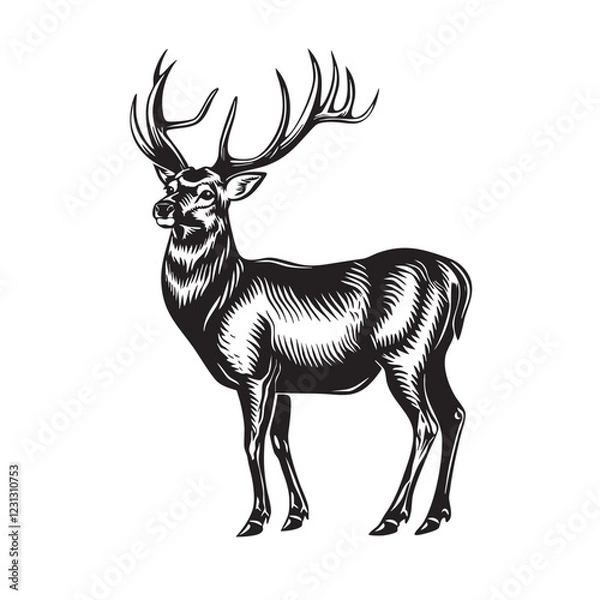 Obraz Detailed monochrome vector of a standing deer, majestic antlers, elegant, wild animal, nature, ideal for logos, prints, hunting themes. Easy editable layere, Wildlife Animals.