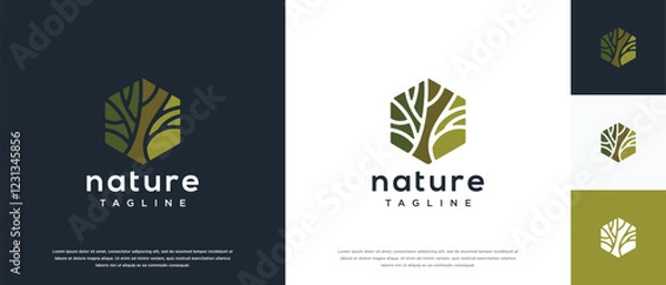 Fototapeta Nature tree logo design. Hexagon nature tree logo template. Nature logo symbol icon