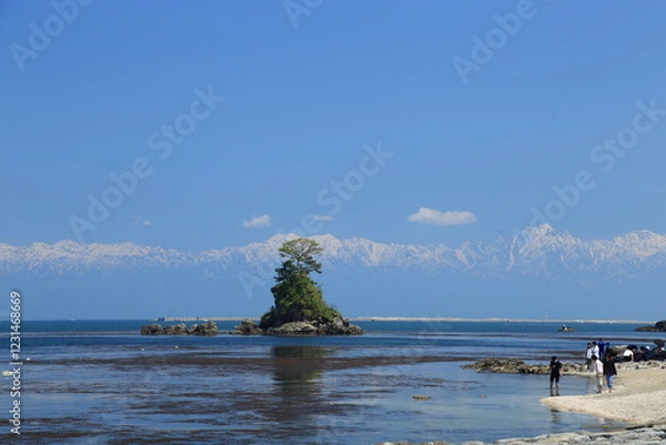 Obraz (とやまビューポイント)雨晴海岸からの冠雪の立山連峰　5月
