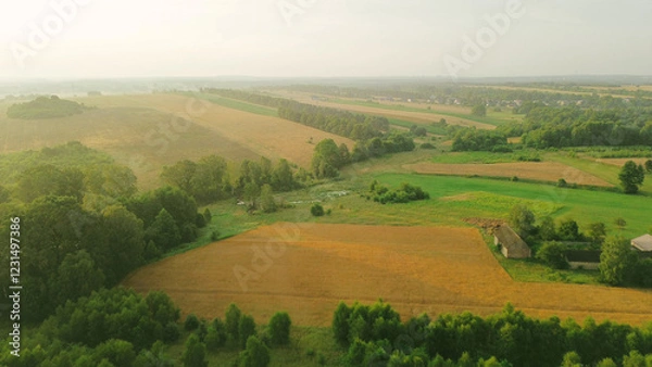 Fototapeta Low clouds covering autumn trees and fields at dawn