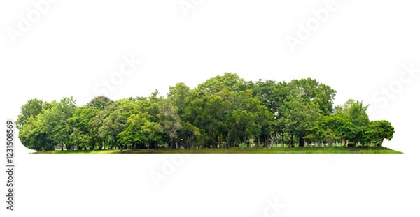 Fototapeta group green tree isolate on white background. Cutout tree line. Row of green trees and shrubs in summer isolated on white background. ForestScene. High quality clipping mask. Forest and green foliage.