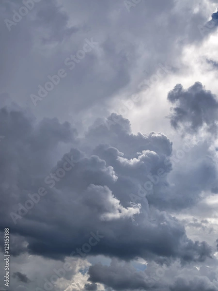 Obraz Rainy, cloudy sky background vertical