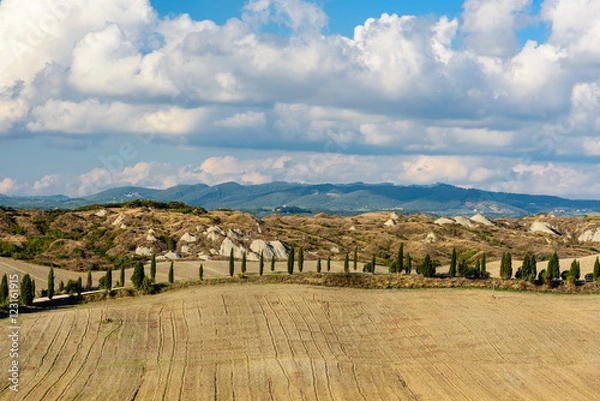 Fototapeta Panorama of the Tuscan countryside with cypress trees and dusty
