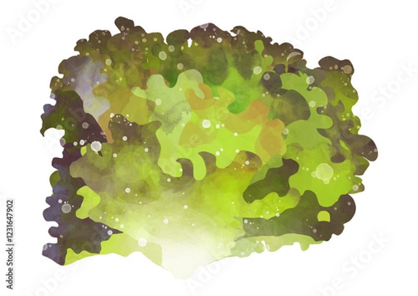 Fototapeta 新鮮なレタスのイラスト素材