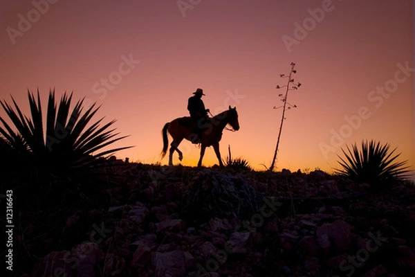Obraz Horseback Rider At Sunset / Sunrise