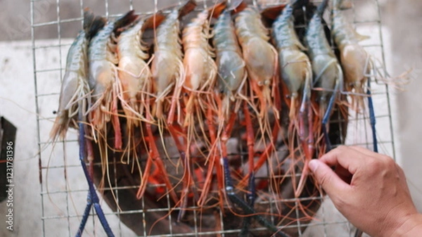 Obraz  Raw Shrimp on Grill with Charcoal Background