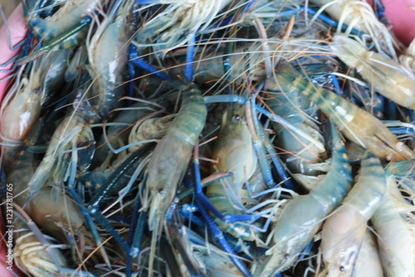 Obraz  Raw Shrimp on Grill with Charcoal Background